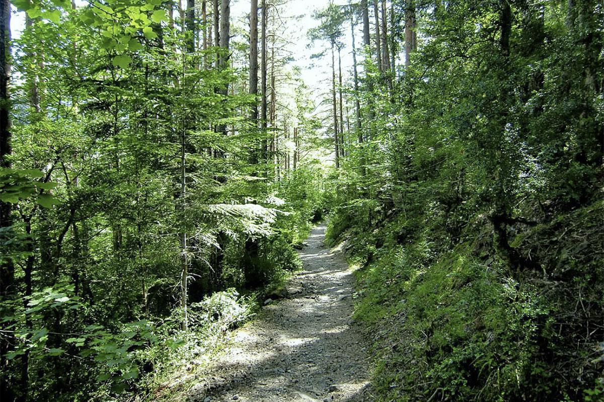 From Torla to Pineta Meadow by Turieto Bajo